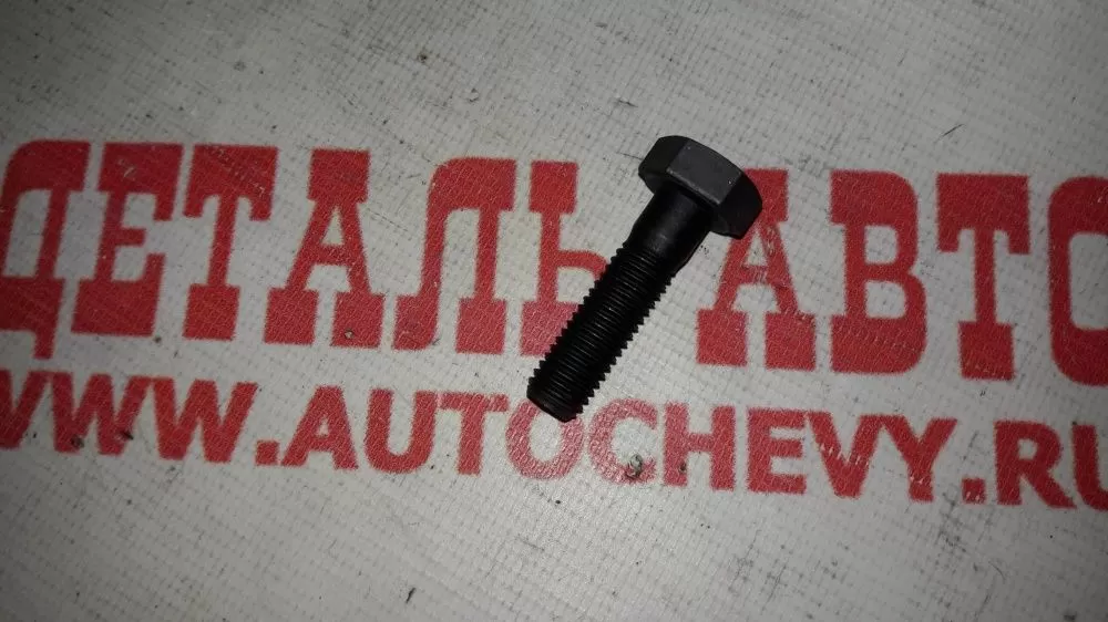 Болт шкива распредвала Лачетти Авео Ланос Нексия Реззо Круз (GM: 94500842)