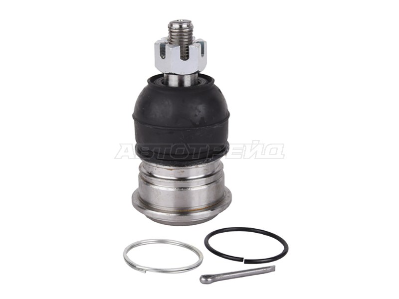 Шаровая опора нижнего рычага TOYOTA BB /CARGO /IST /PLATZ /PROBOX /RAUM /VITZ /WILL CYPHA 99- (555: SB-3602)